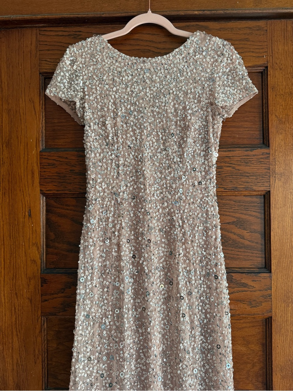 ADRIANNA PAPELL Scoop Back Sequin Maxi Gown Short Sleeve Full Length Blush Nude - Picture 2 of 9